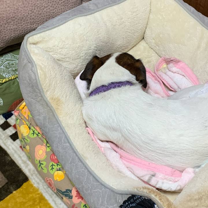 80ca8d47 5f99 4999 b0f9 d0c4328b9582 1589105963191