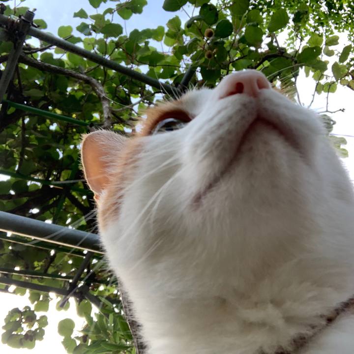 80ca9f7d 6e20 4798 82e4 d276baf4ad61 1596363415814