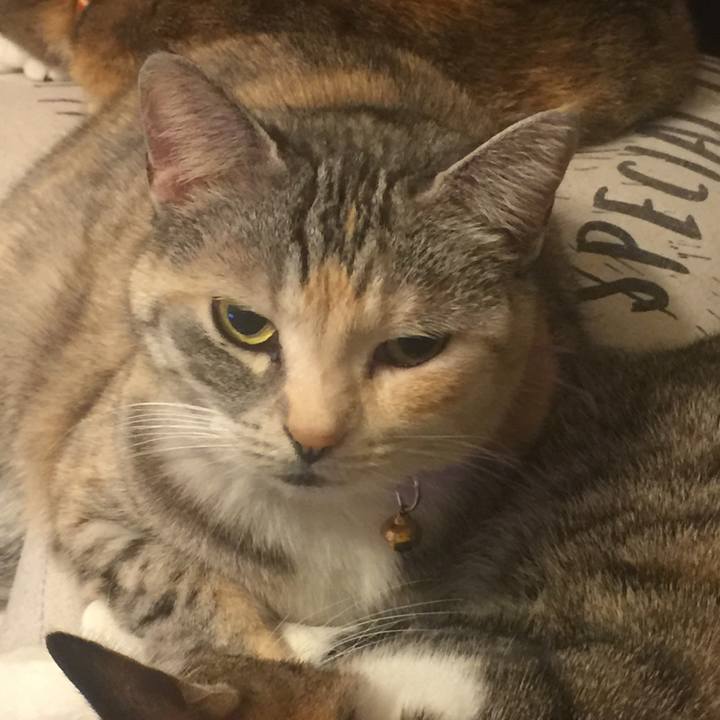 80cabf4e 613c 42e2 9b5d ccb4ed3f2c76 1548948163979