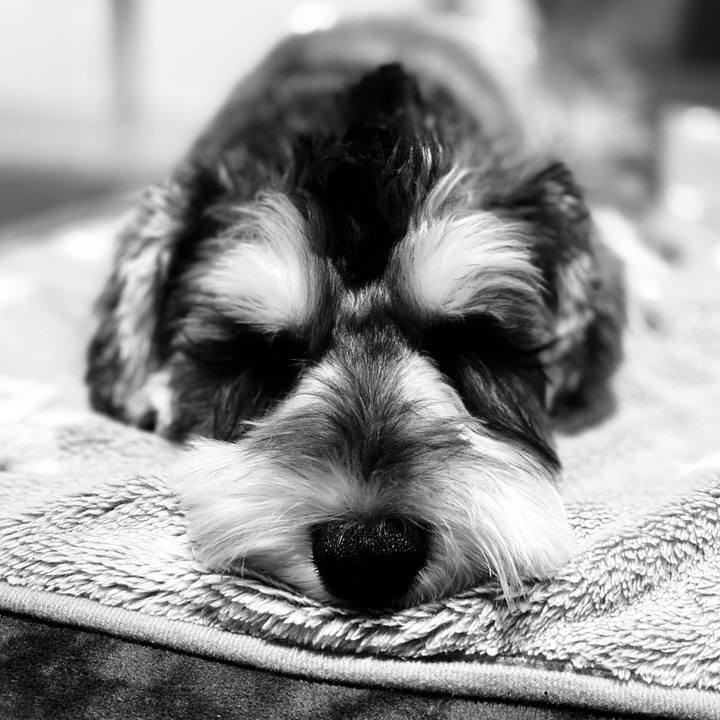 80cabfd9 70ef 49a1 b97b 483d16363853 1575221723280