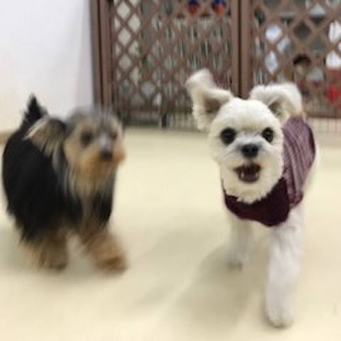 80cad822 12d3 4541 b9b9 edbd4cf5a495 1516096612098