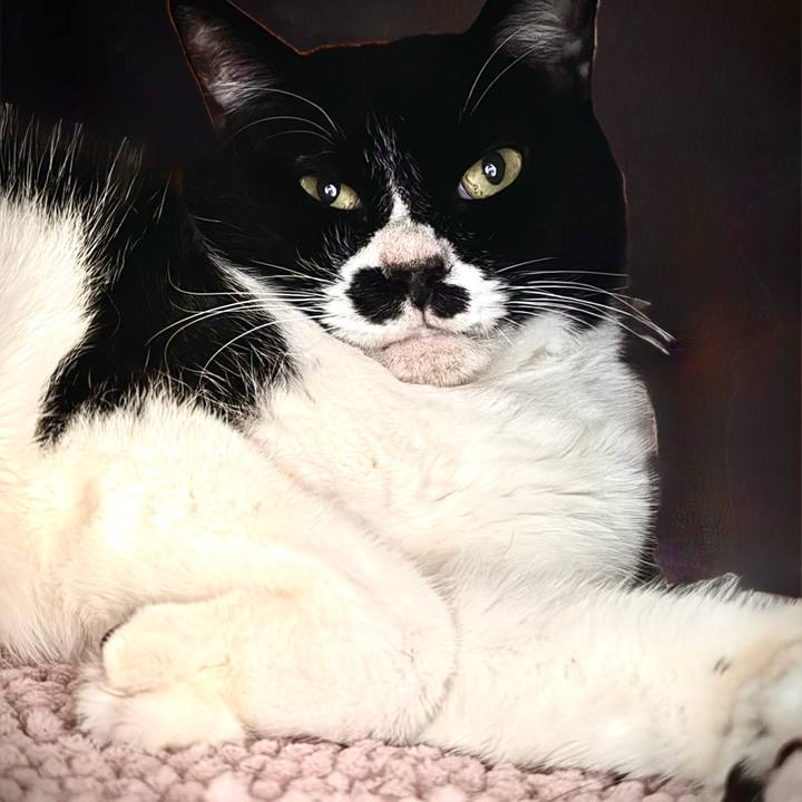 80cb6748 ece3 4b78 b372 d1c01f39e2d6 1738628277657