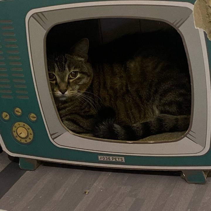 80cb855a 4130 4ada 9ad4 3340031ce22c 1659711121618