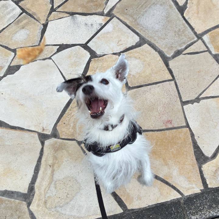 80cb8fd6 96d3 4abb 84af 832e9bba76bf 1760137678848