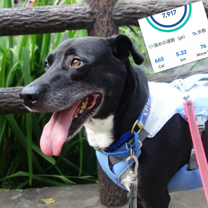 80cbaa04 dec5 41e4 a0b7 4f7a78148d4f 1691801964245