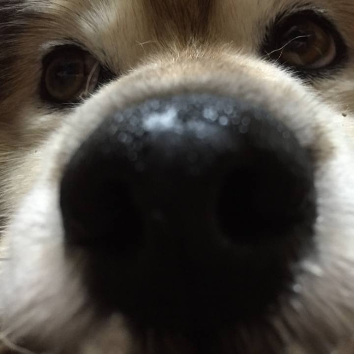 80cbaf54 f5a0 44b6 bf4b bb152abc676e 1594043698329