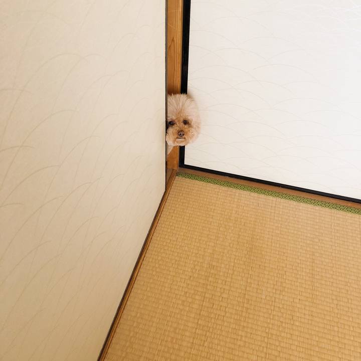 80cbb6b4 0ee3 4246 8504 0d82ce2da89e 1524199577673