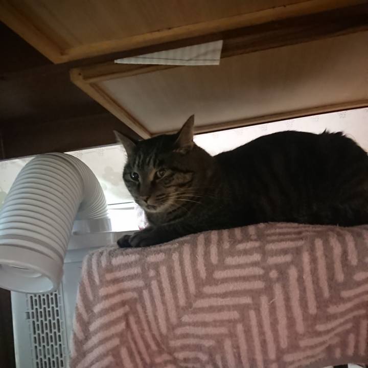 80cbb7ca ce3b 4073 b56e d11ce170f837 1638218813448