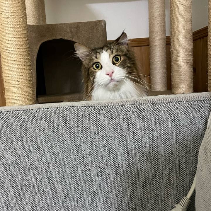 80cbe881 1875 4557 8dbe 7e306e7dcefa 1678823056241