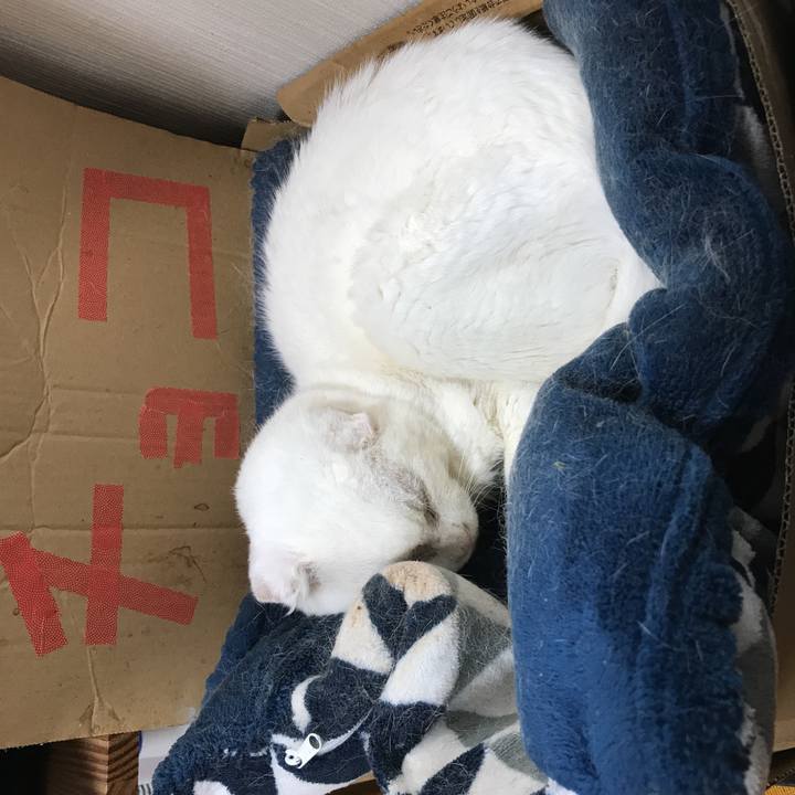 80cbf0fc ac9a 4b3d 8454 565d4a5e5bbc 1542584965165