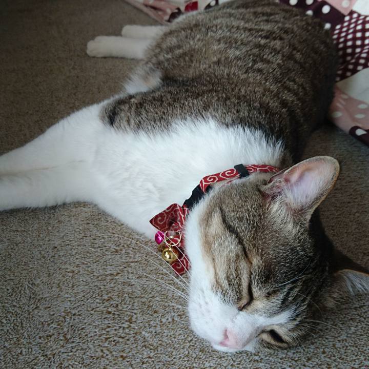 80cc0922 7818 4e0c 9a2e 6af82ac97be2 1527998243643