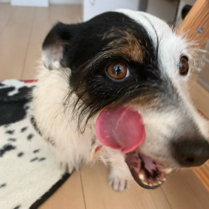 80cc29d9 0ddf 412a 9520 954d4bcbb25d 1625887038054