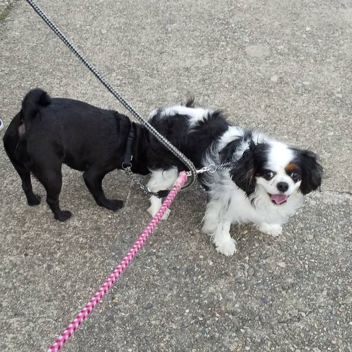 80ccb548 bd06 449f a9ca 6b924f3650a2 1588728844225