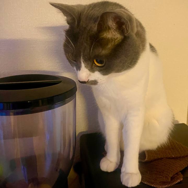 80ccd63b 28e0 41c5 b4d2 fceeffcdc43c 1626992780359