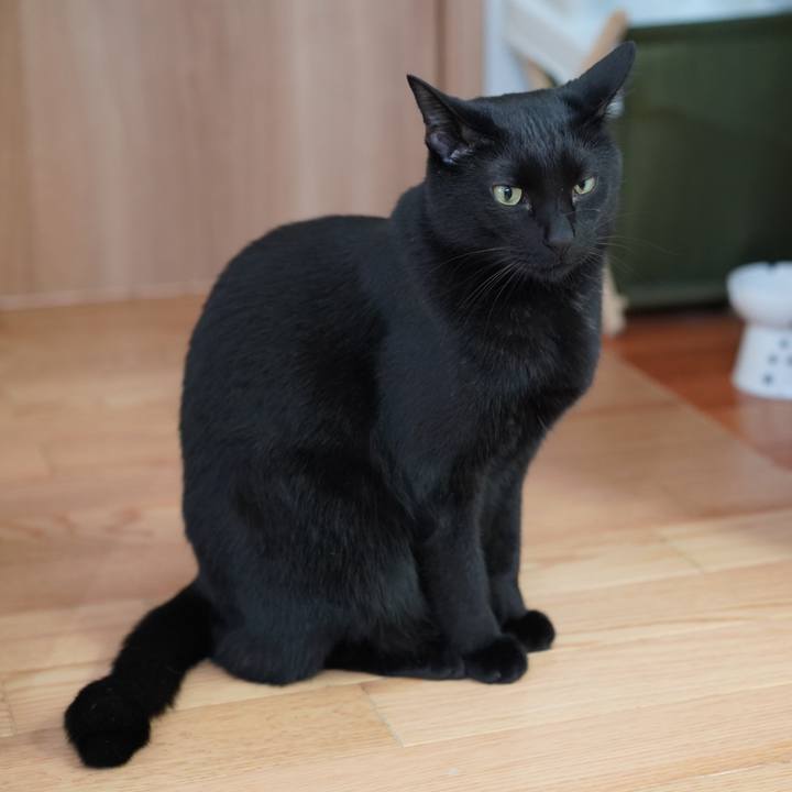 80ccdf5d b976 416c b38d e960501bf6ad 1618840517895