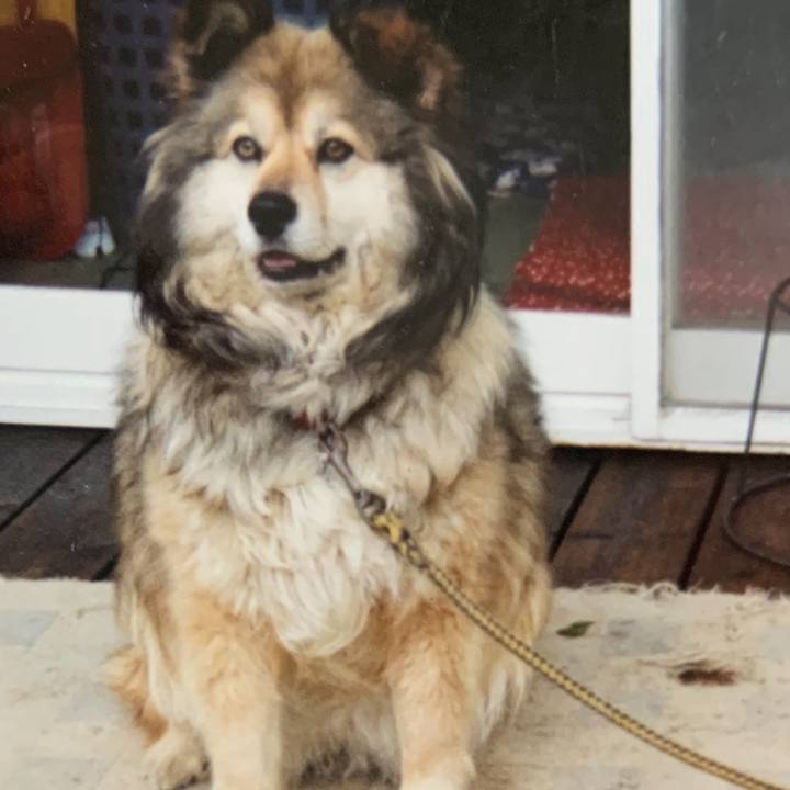 80cce5b1 1b5d 4317 a82b a3ee3eb0dd12 1657792972741