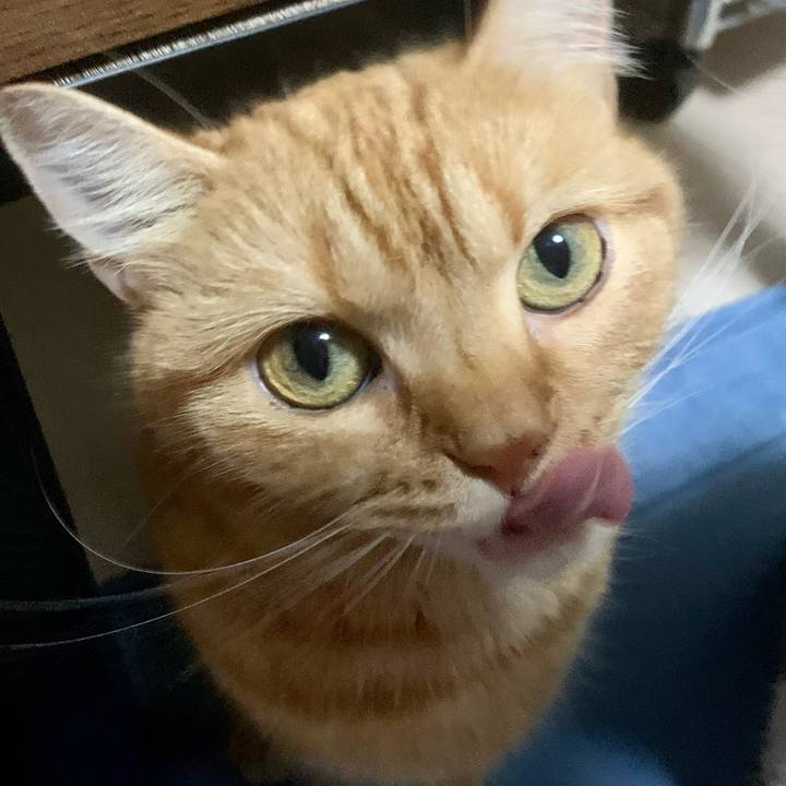 80ccef37 da44 4c0c 82a5 6a2edd282fea 1624521261690