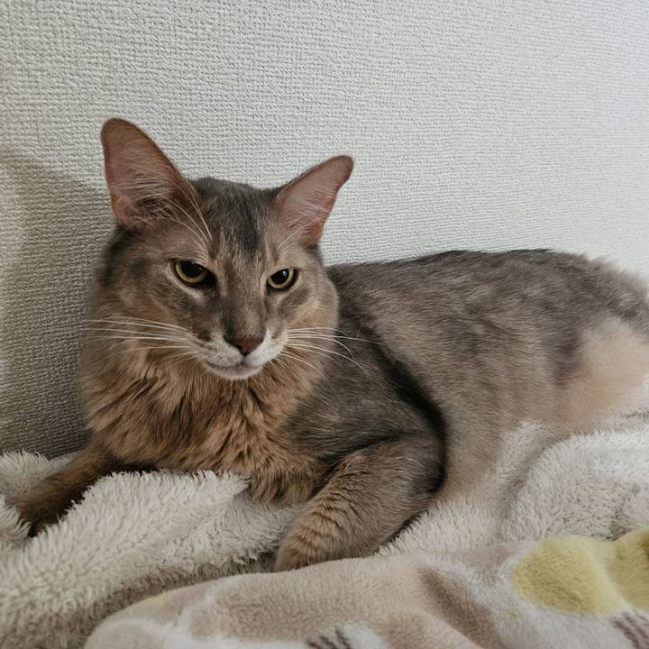 80cd256a 4f2d 431a 9fe9 6618ea60176a 1730000524428