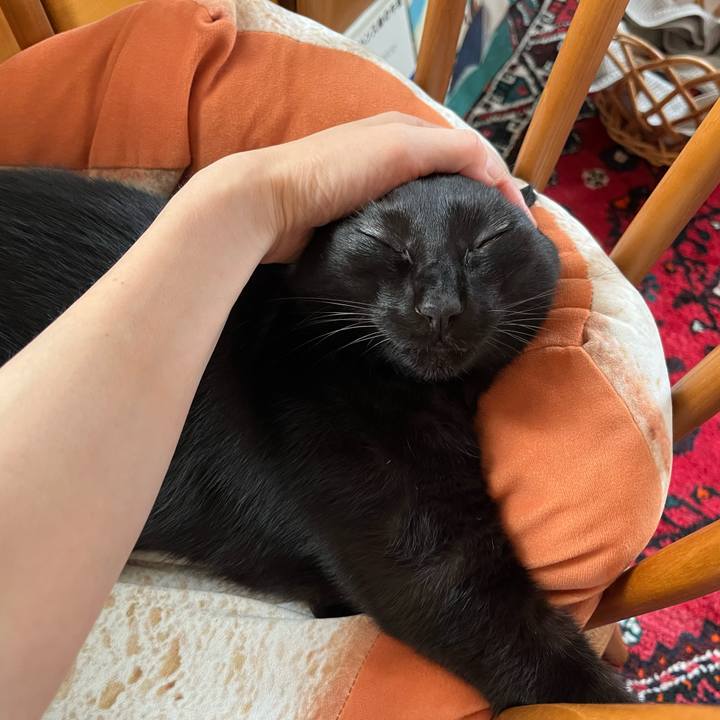 80cd3df4 2ddb 41c7 b55b 71d93fb59803 1694225601072