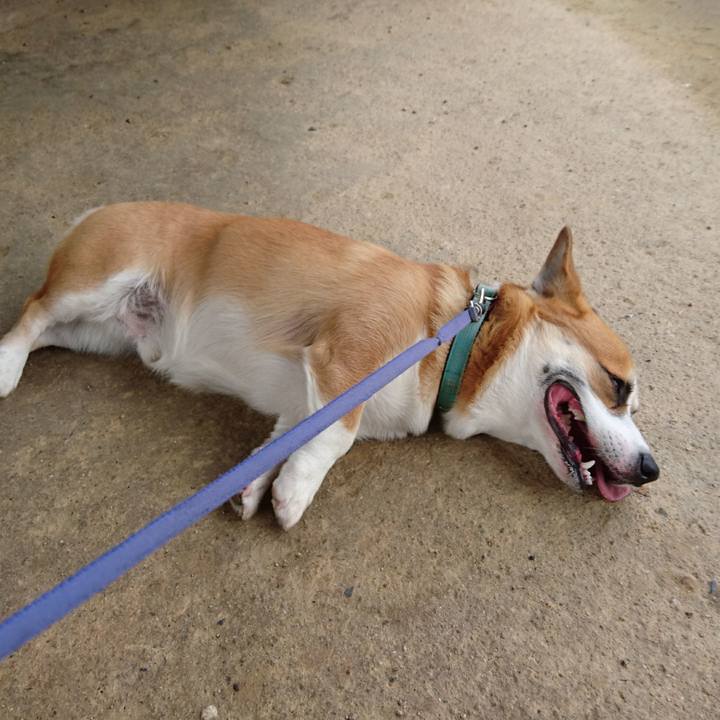 80cd4c4a 2bab 4a58 b436 4623a91ac969 1596072306170