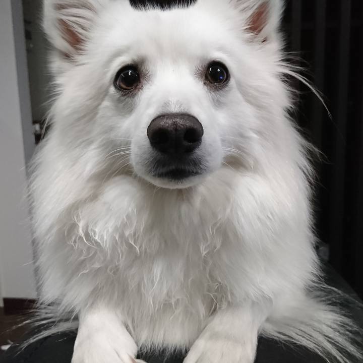 80cd6522 a137 4cbe 8741 1a8deb6b6a95 1548080140042