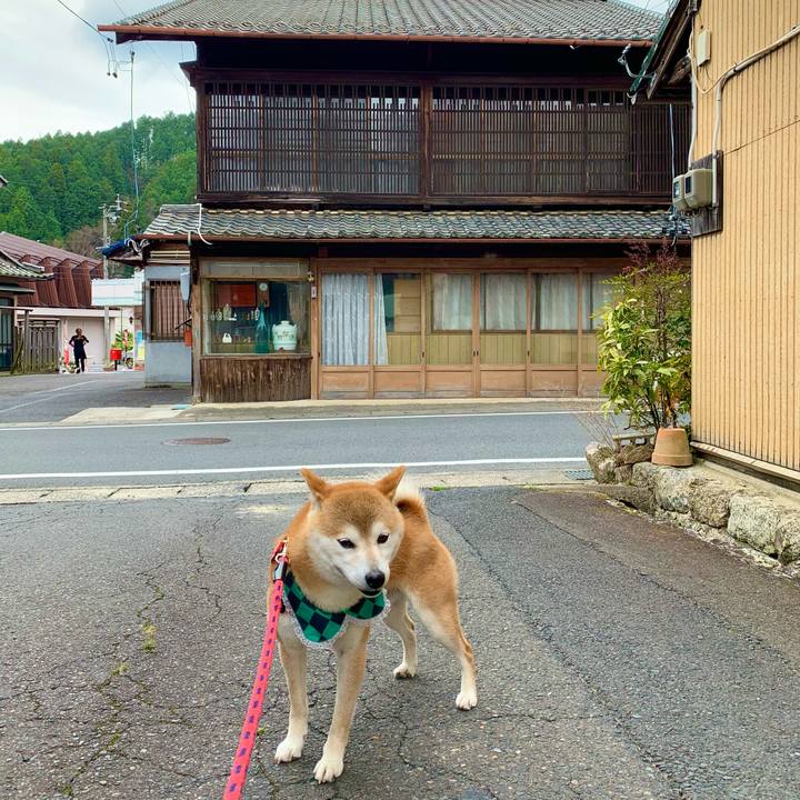 80cd6566 d3d6 421e a177 b783f3857b89 1618397622787