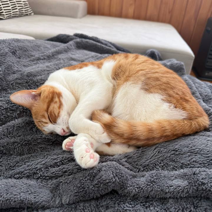 80cd9792 b184 47e1 9617 a91c9d1cd0b2 1772764975843