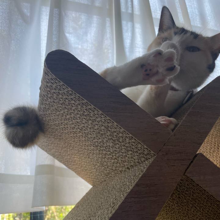 80cd9e29 1c85 41f0 a259 3f31a2d63a25 1692333898683