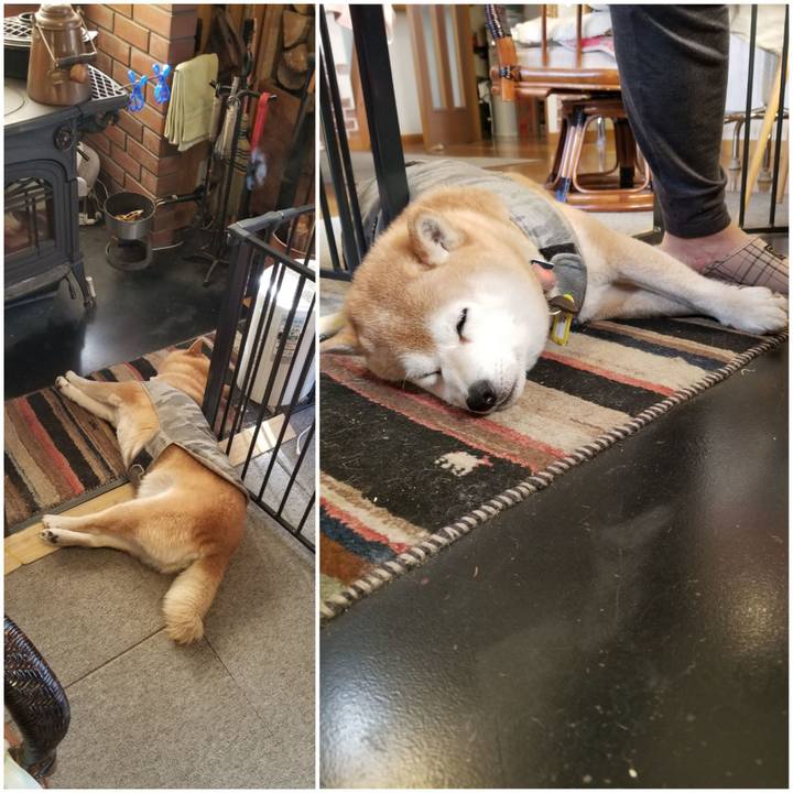 80cda23c c160 4d4f b95b f93fae5a81dc 1648854580260