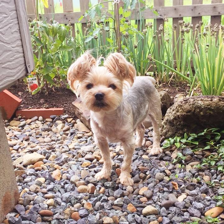 80cdb6fc 4fae 4fdb a1f7 d26ffab084eb 1531730478336