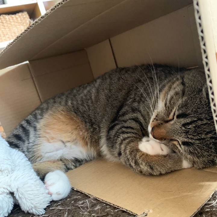 80cddf72 94ee 483b 9b14 dbdf84f1f2fb 1581941320146