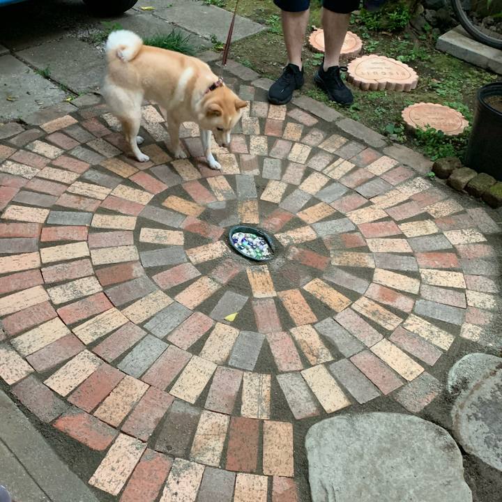 80ce2392 3e33 4cd3 962b 66b2490f070e 1624834884931