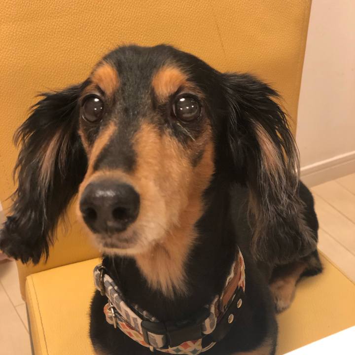 80ce324f db43 43cc aecc 3bc509404ba1 1566788749834