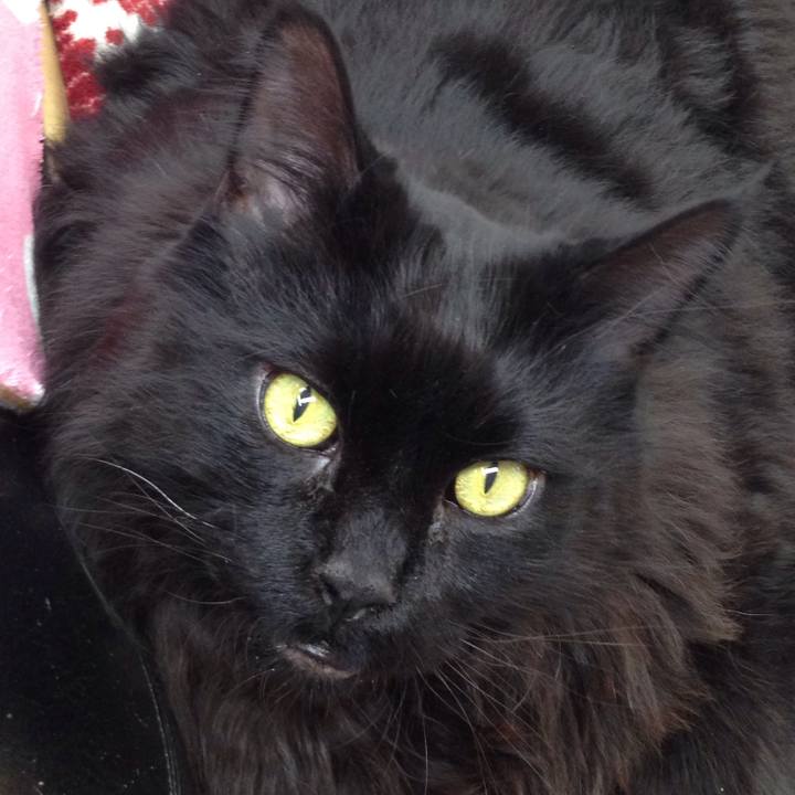 80ce3ee9 e1dc 4d83 af02 eb4b0002ab7d 1511571481012