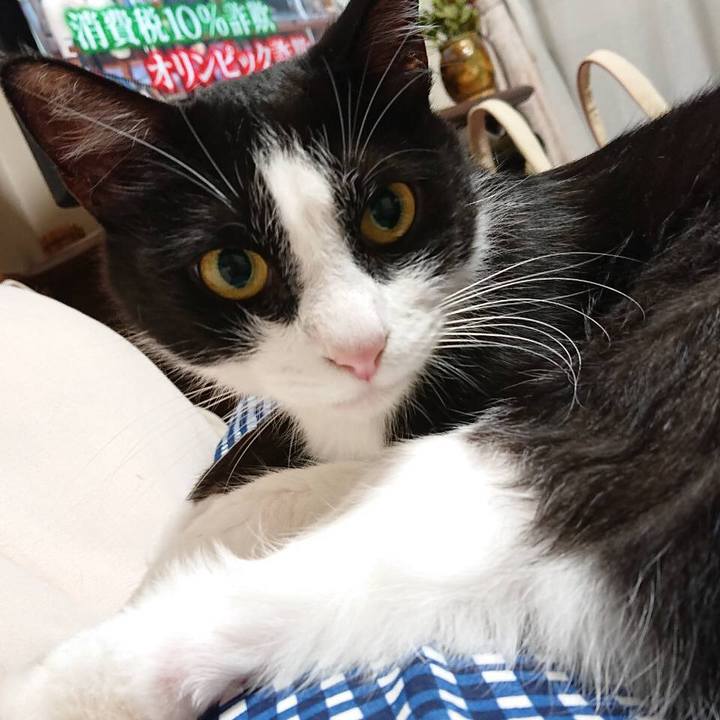 80ce673d 9c24 47dc bea5 9cc1d569076e 1560517110843