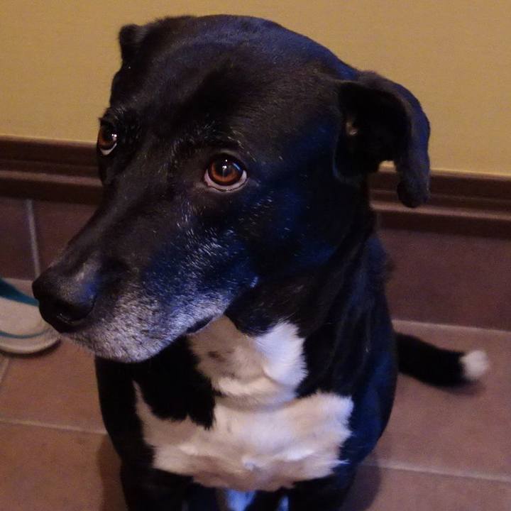 80ce9b6d f5b2 49cc a20a fad5381ea6fc 1715943849659