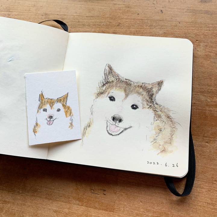 80cecf15 1805 4581 b870 3458147fb24d 1656205438358