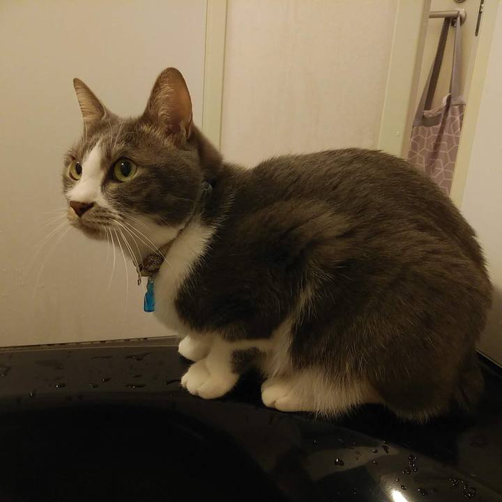 80ced44a b927 4877 a96b c46ff88281ad 1704814037968