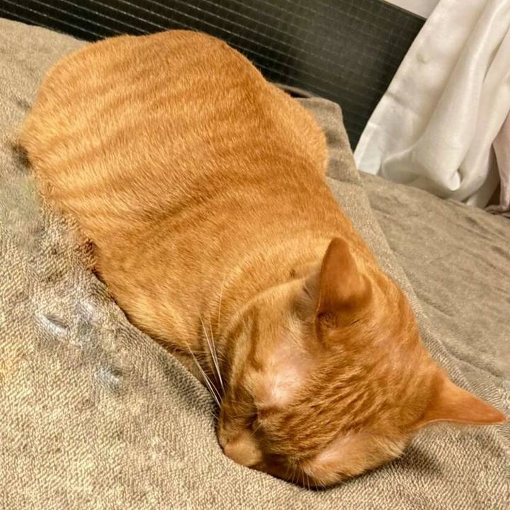 80cef68c 4dc8 40ad aaf3 a34c7f17b334 1619311603233