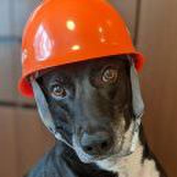 80cf4fac f3f3 4a44 8193 de427b5bc976 1720570665482