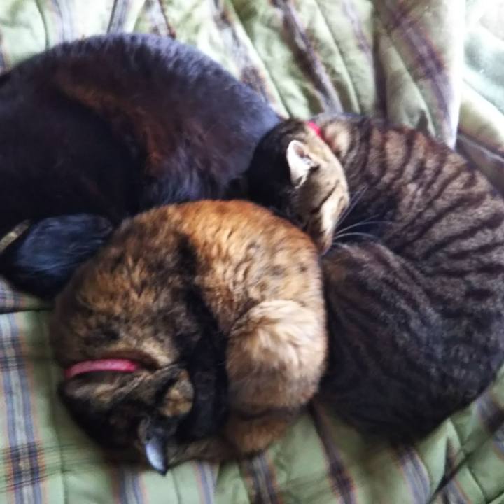 80cf6b06 58d6 42cb 962d 77456880b5c2 1584102838168