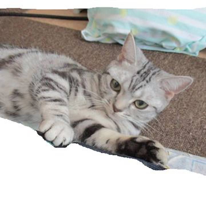 80cfd599 aea5 4202 9d88 0f1f586fcafb 1556974613677