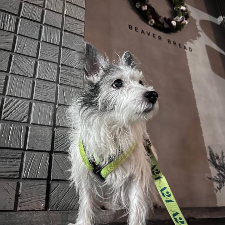 80d02439 259d 4d1d ab36 d72e0e6f59c6 1669546199415