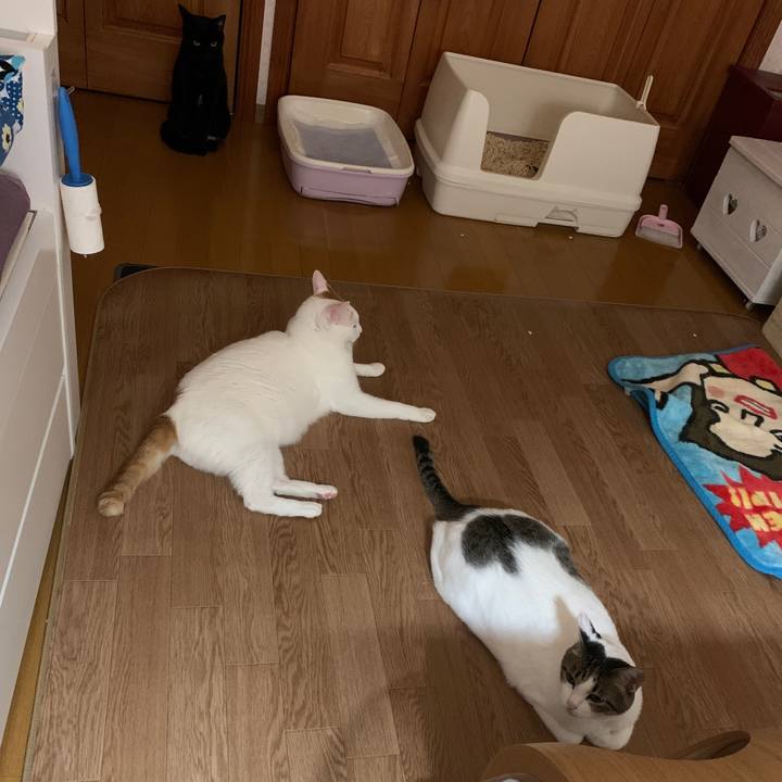 80d0601e bc3f 406b ba14 7546140f1191 1665084864094