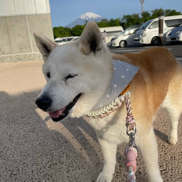 80d0871d 6776 4039 a4f9 a99e2455c0a2 1683235227685