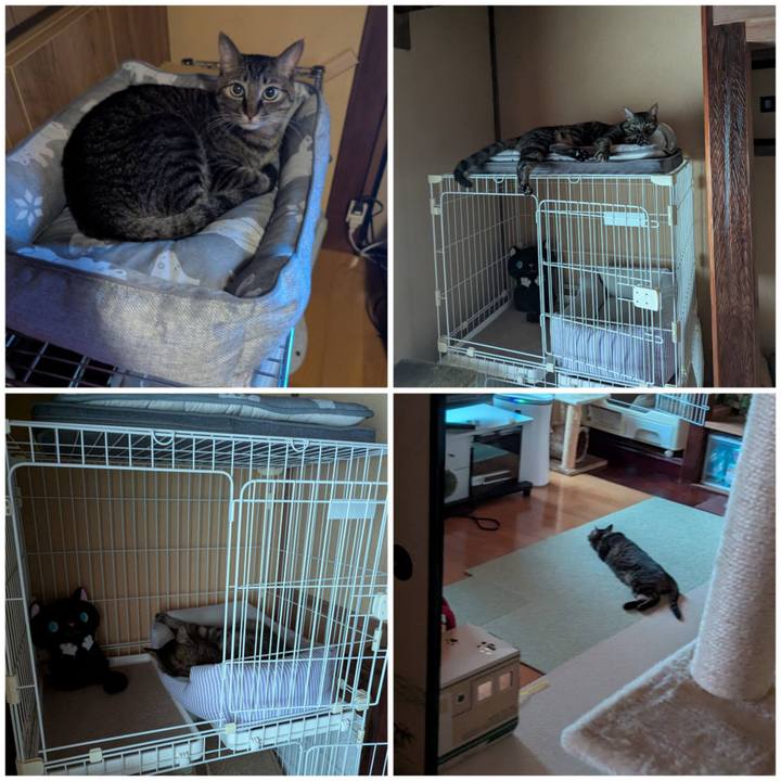 80d0f109 ac5f 4196 9e6a 311becc075bd 1751677584648