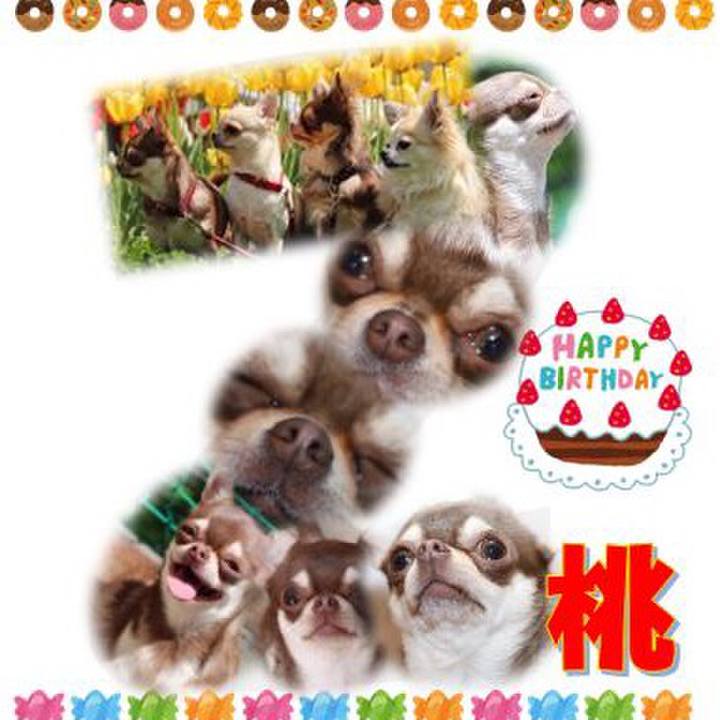 80d10cb5 3fc2 413d 97b2 000a2f290216 1528964544553