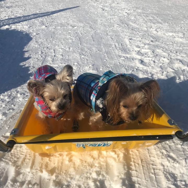 80d11fa7 dd52 4948 9886 73211da56b94 1577609913242