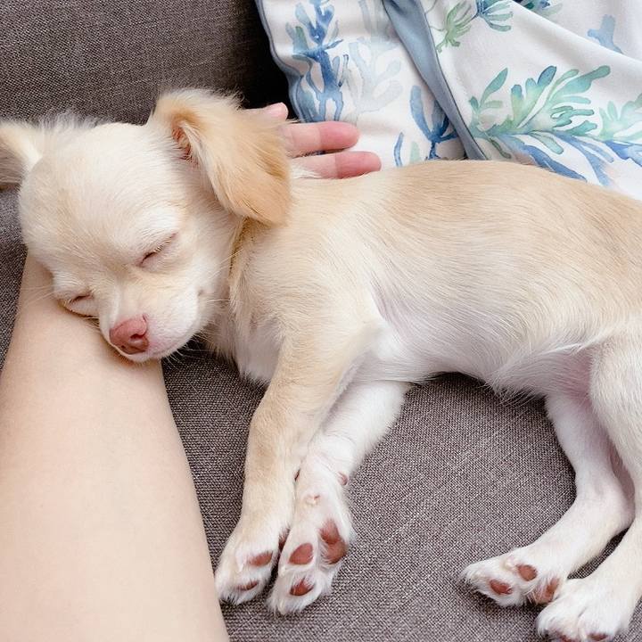 80d12c29 88d0 426c aac0 6281fc11f28d 1596690998461