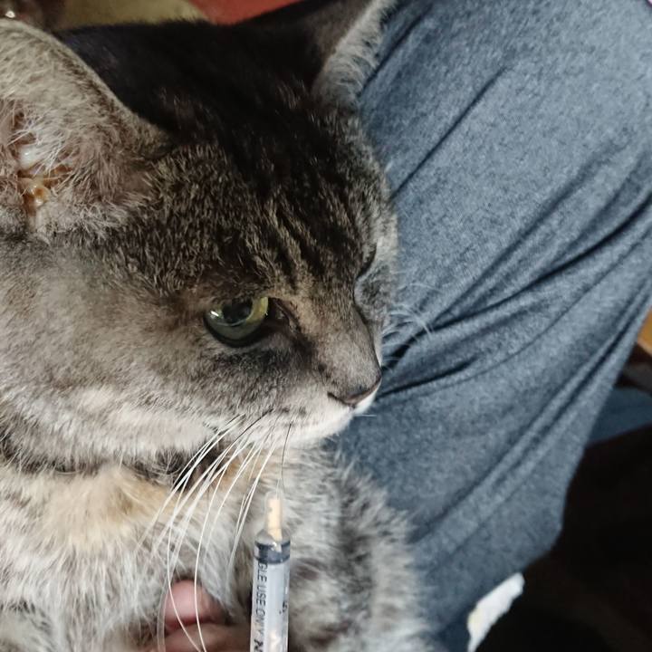 80d19338 d7d4 4b29 9223 76ea234861a6 1580853421614